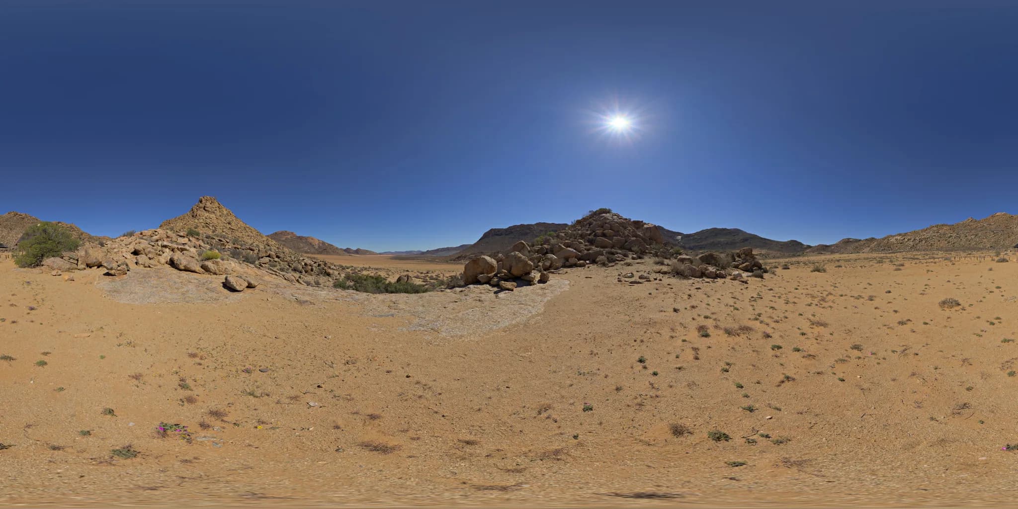 Desert range